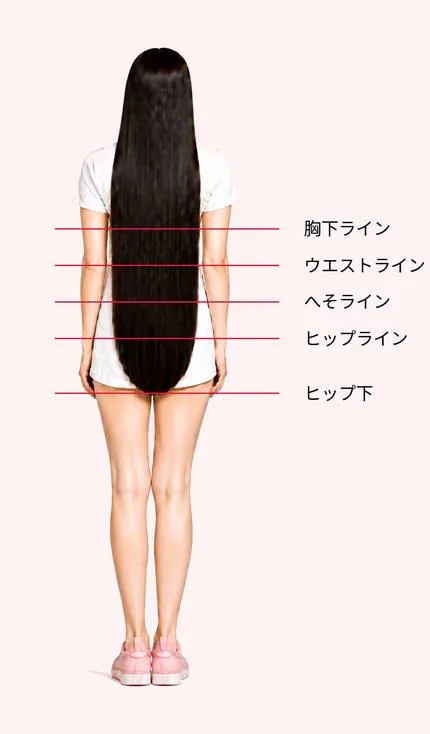 기장 참고 이미지