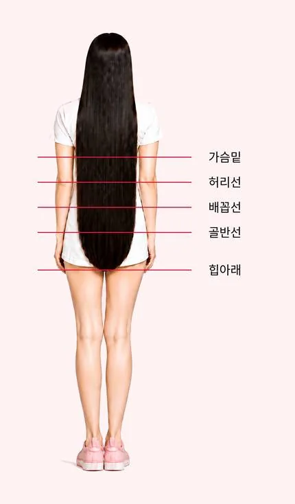 기장 참고 이미지